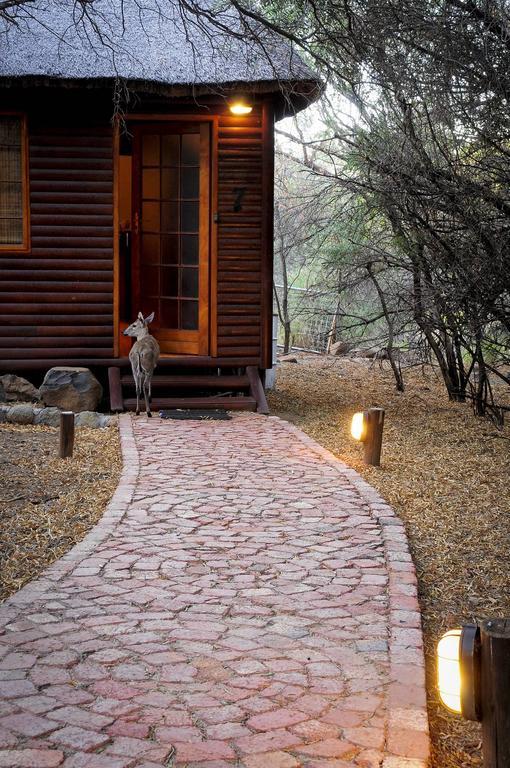Bed and Breakfast Impa-Lala Country Estate Блумфонтейн Экстерьер фото